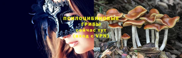каннабис Карпинск