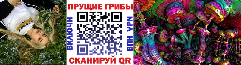 Купить  Лебедянь  Псилоцибиновые грибы мухоморы 